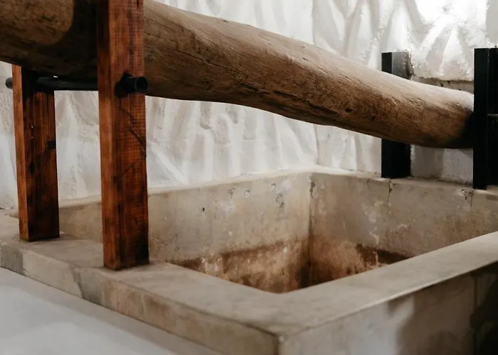 Casa Con Jardin Familias Y Grupos * Tegueste