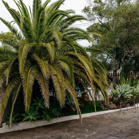 Casa Vidana con jardín, pádel privado y Anaga Apartamento *