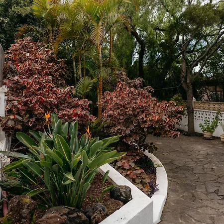 Casa Vidana Con Jardin Privado Y Pista De Padel Apartment Tegueste