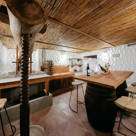 Casa Vidana Con Jardin Privado Y Pista De Padel Apartment *