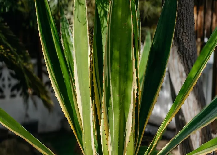Apartament Casa Con Jardin Familias Y Grupos *